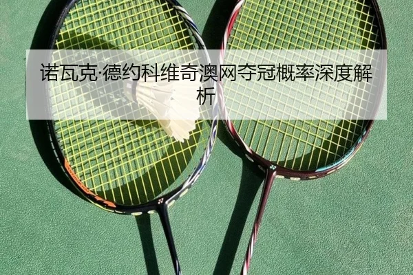 诺瓦克·德约科维奇澳网夺冠概率深度解析 - Xingcai